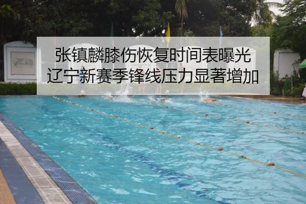 张镇麟膝伤恢复时间表曝光 辽宁新赛季锋线压力显著增加